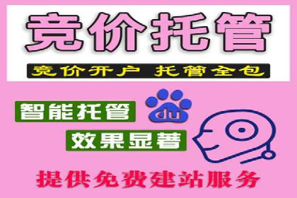 SEM公司案例分析：搜索引擎优化策略与执行